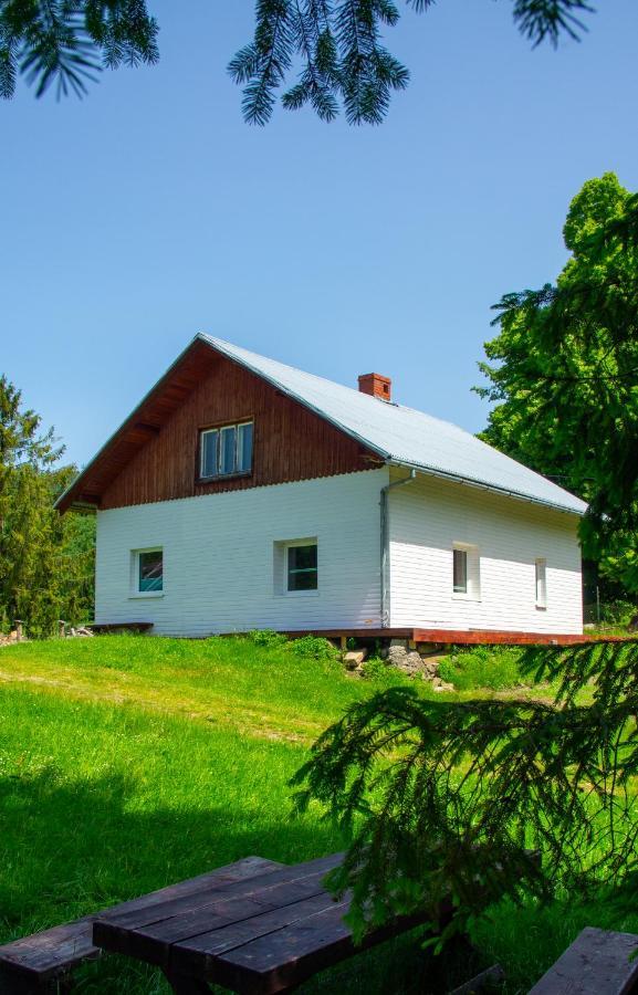 Domek W Gorach Na Wylacznosc Zlatna Экстерьер фото